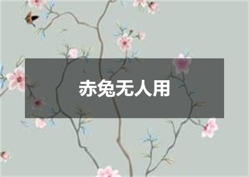 赤兔无人用