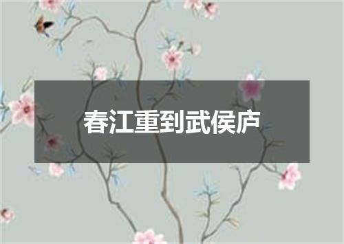 春江重到武侯庐