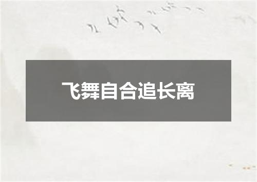 飞舞自合追长离