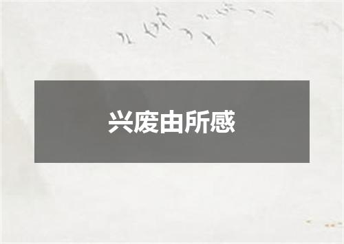 兴废由所感