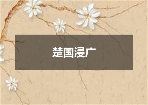 楚国浸广
