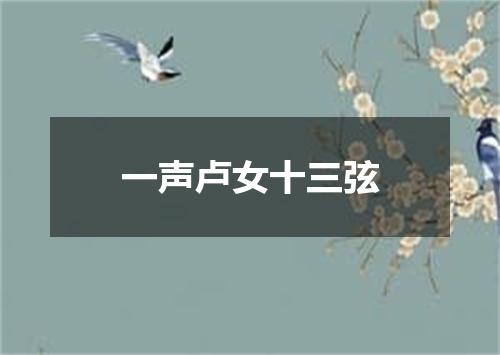 一声卢女十三弦