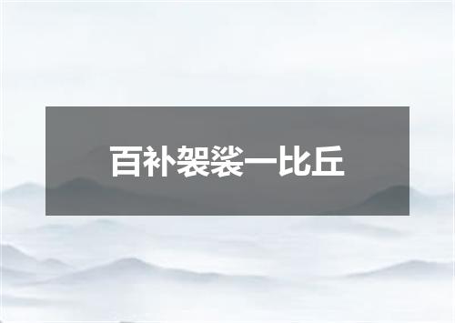 百补袈裟一比丘
