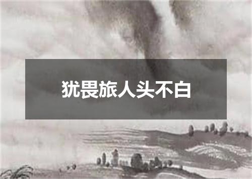 犹畏旅人头不白