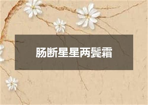 肠断星星两鬓霜