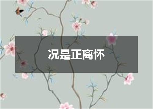 况是正离怀