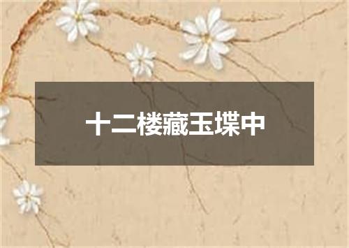 十二楼藏玉堞中