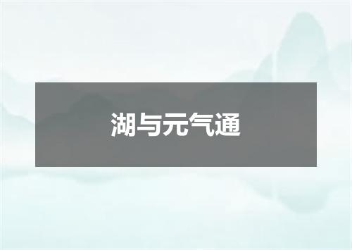 湖与元气通