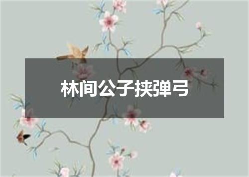 林间公子挟弹弓