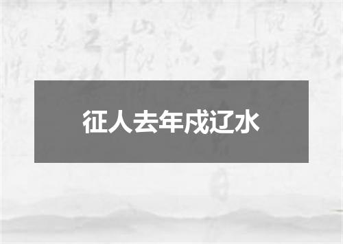 征人去年戍辽水