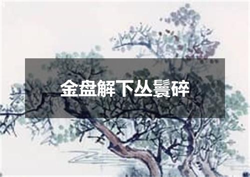 金盘解下丛鬟碎