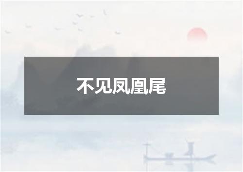 不见凤凰尾