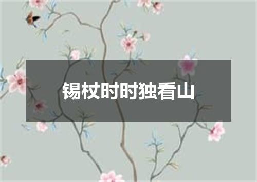 锡杖时时独看山