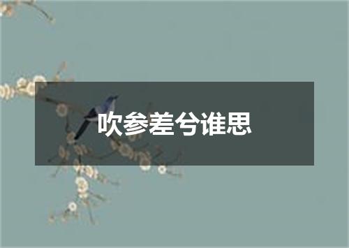 吹参差兮谁思