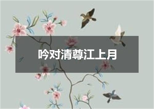 吟对清尊江上月