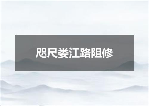 咫尺娄江路阻修