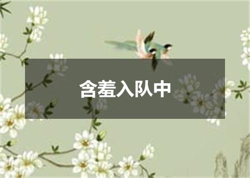含羞入队中