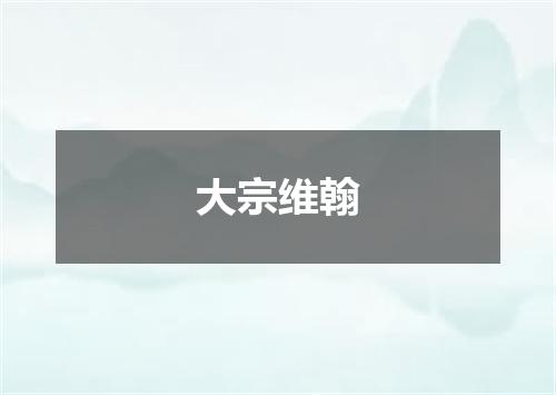 大宗维翰