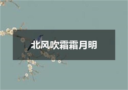 北风吹霜霜月明