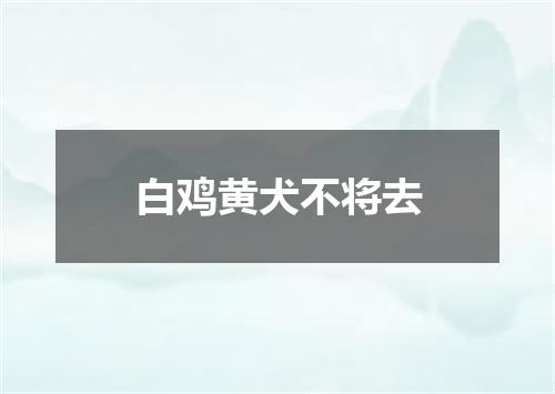 白鸡黄犬不将去