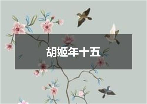 胡姬年十五