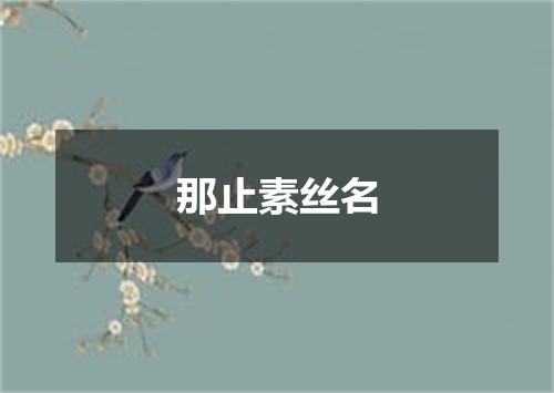 那止素丝名