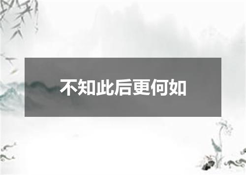 不知此后更何如