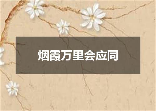 烟霞万里会应同