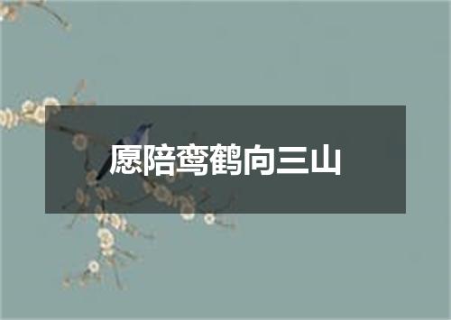 愿陪鸾鹤向三山
