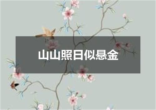 山山照日似悬金