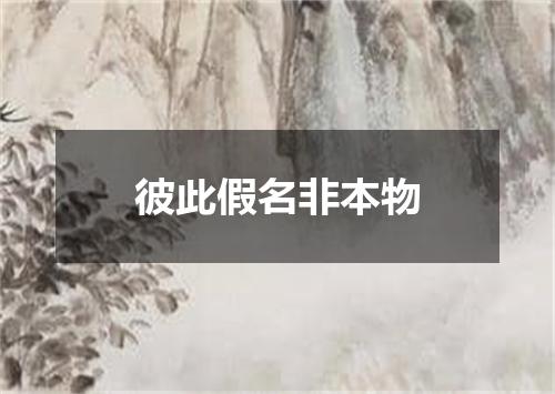 彼此假名非本物