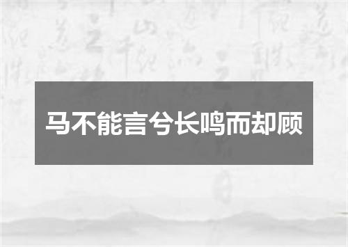 马不能言兮长鸣而却顾