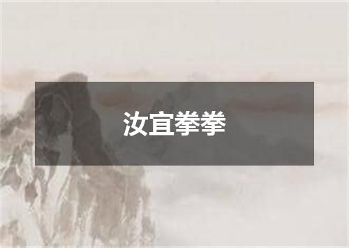 汝宜拳拳