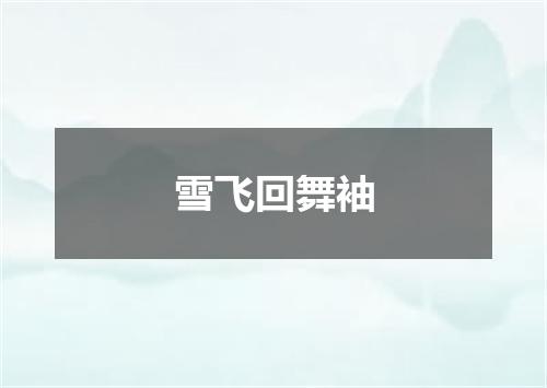 雪飞回舞袖