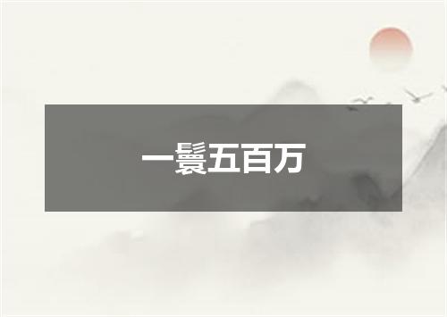 一鬟五百万