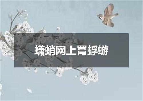 蟏蛸网上罥蜉蝣