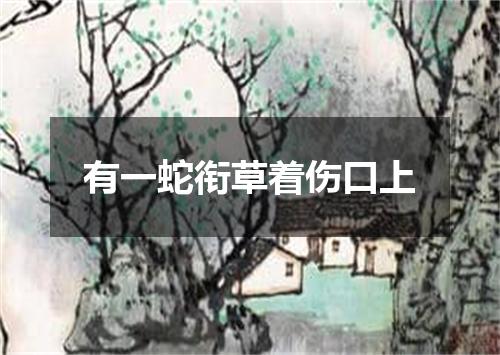 有一蛇衔草着伤口上
