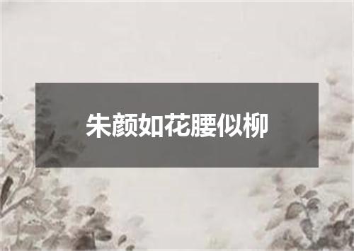 朱颜如花腰似柳