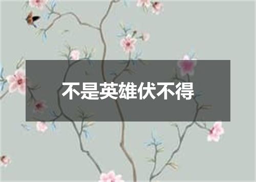 不是英雄伏不得