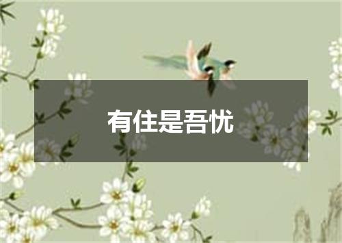 有住是吾忧