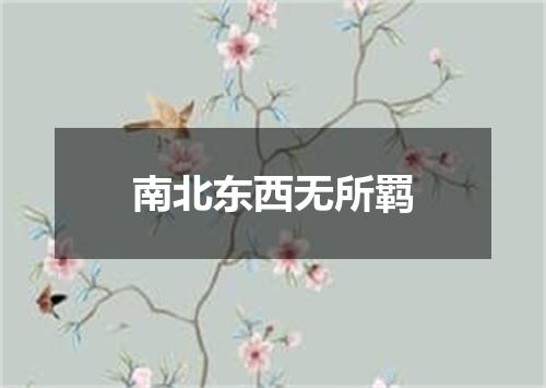 南北东西无所羁