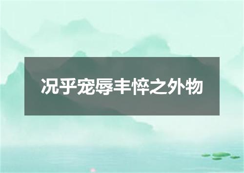 况乎宠辱丰悴之外物