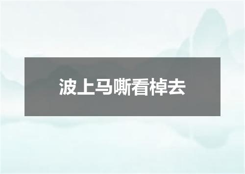 波上马嘶看棹去