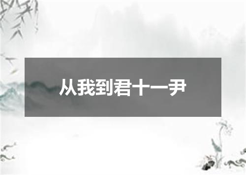 从我到君十一尹
