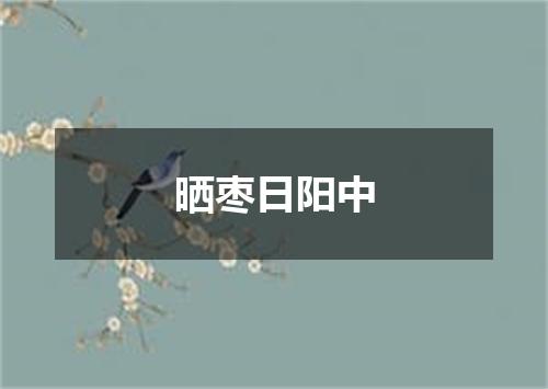 晒枣日阳中