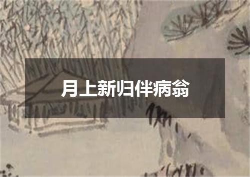 月上新归伴病翁