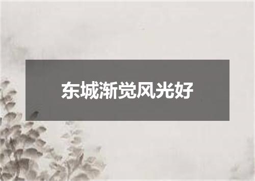 东城渐觉风光好