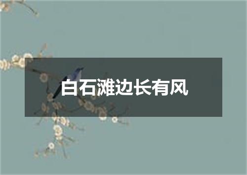 白石滩边长有风