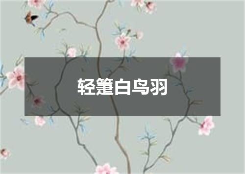 轻箑白鸟羽