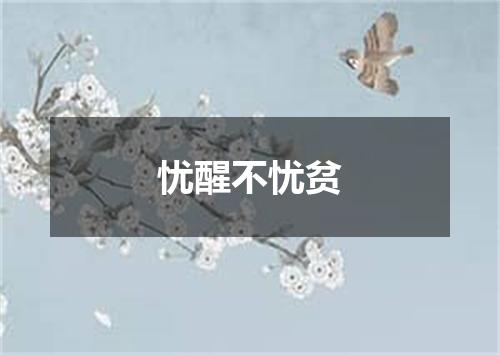 忧醒不忧贫